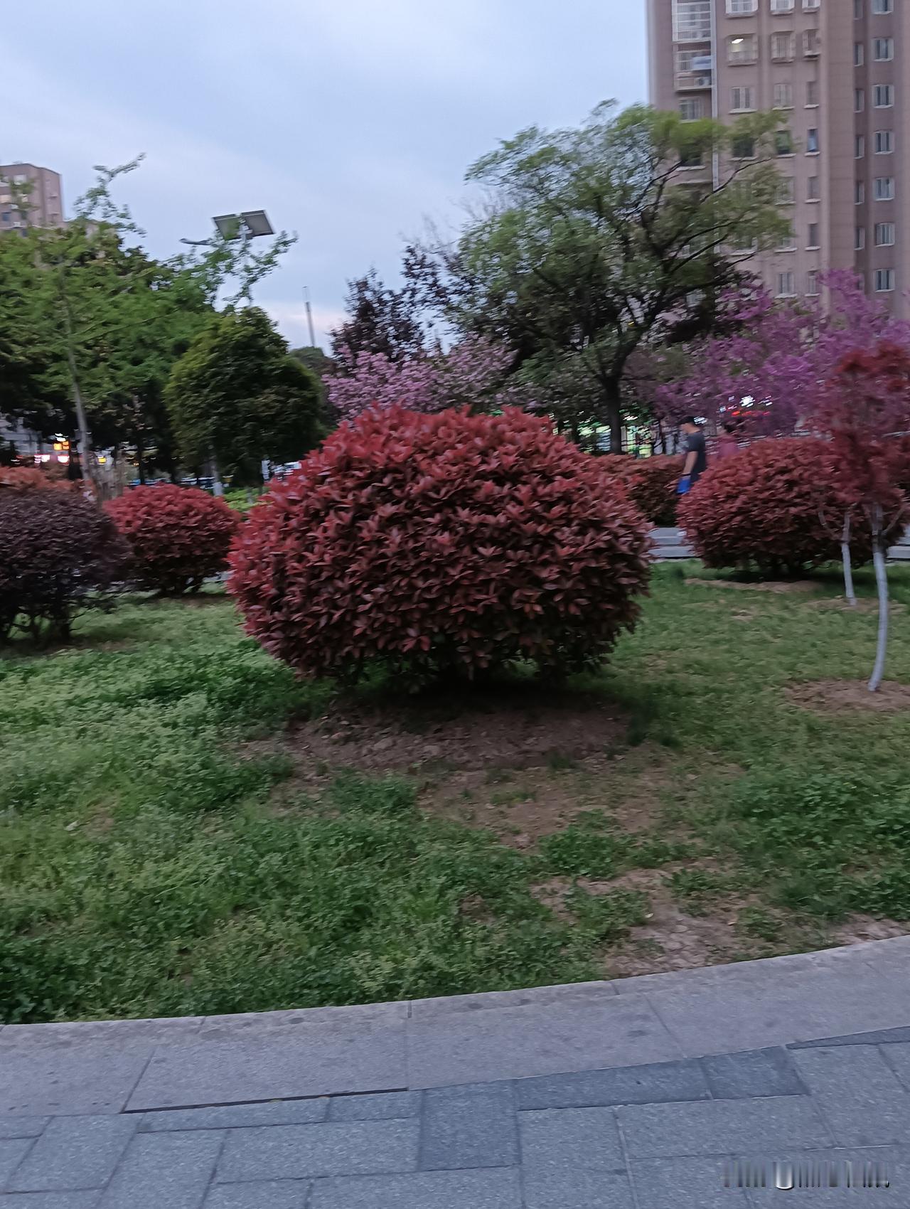 城市中也能静享自然之美，就像厦门下潭尾湿地公园，堪称“厦门版的马尔代夫”。它原本