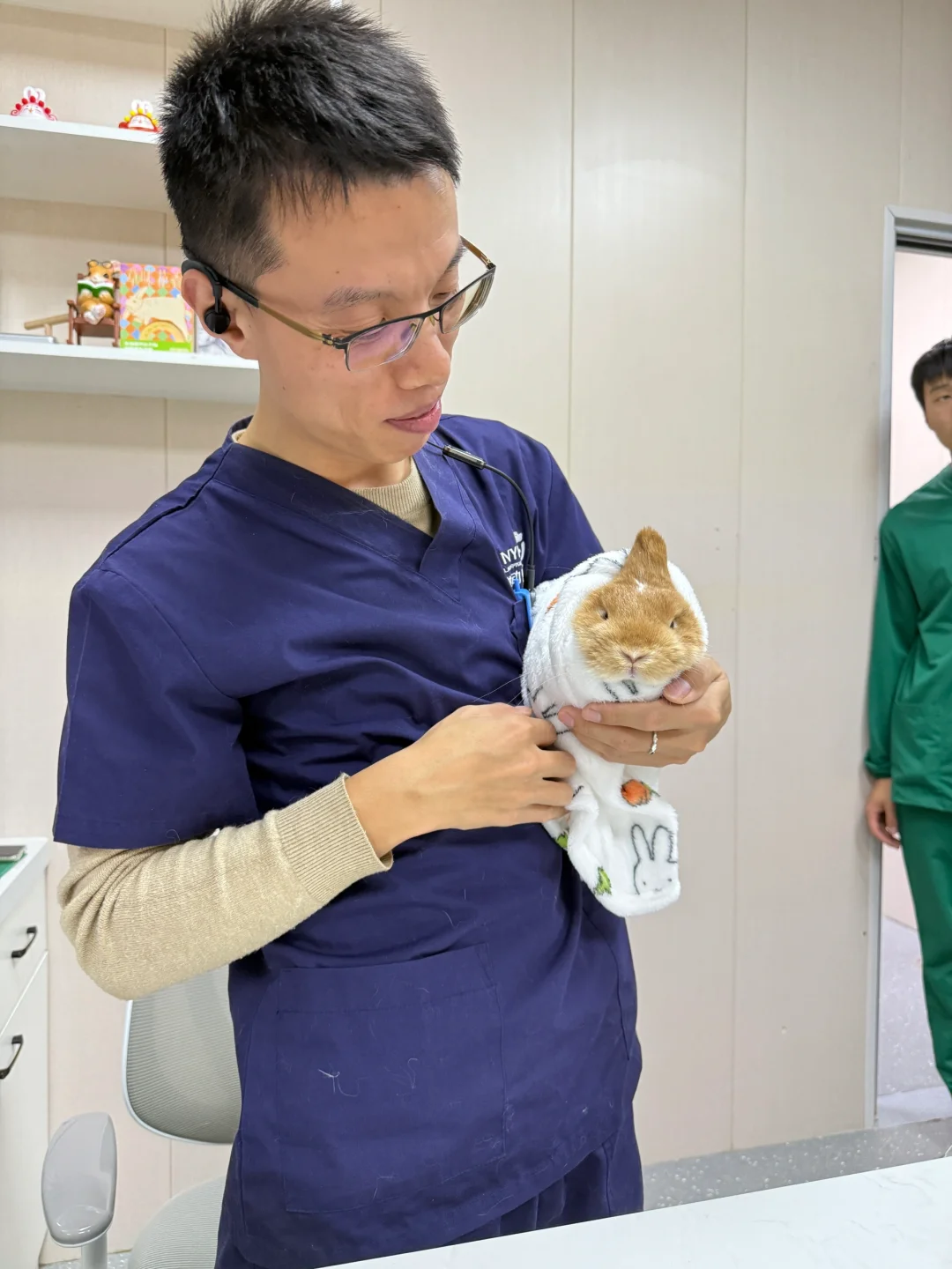 济南兔兔绝育手术限时福利