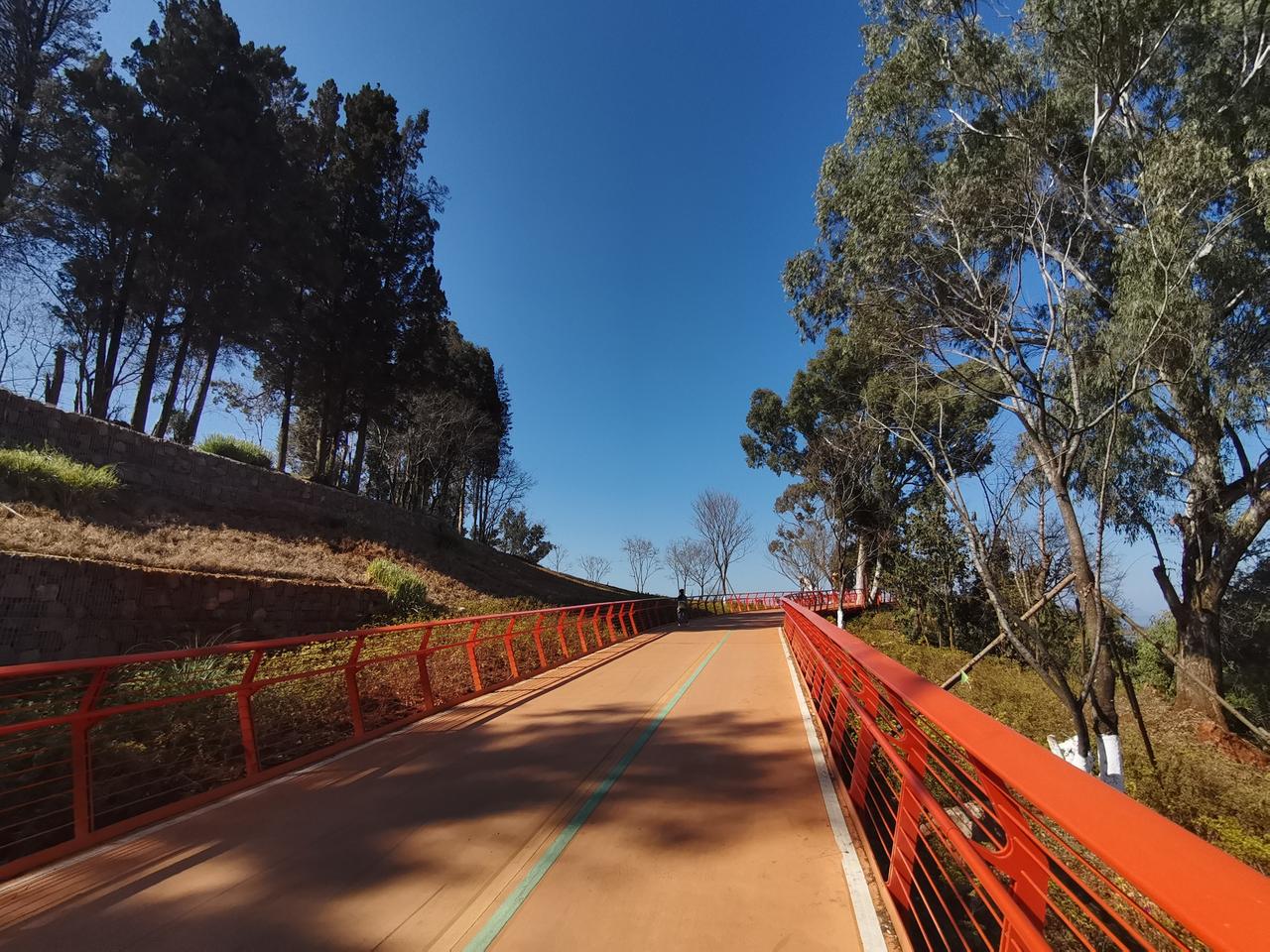 昆明的滇池绿道就是昆明最豪奢的一个超级景观，没有之一。
这个景观长达七十多公里，