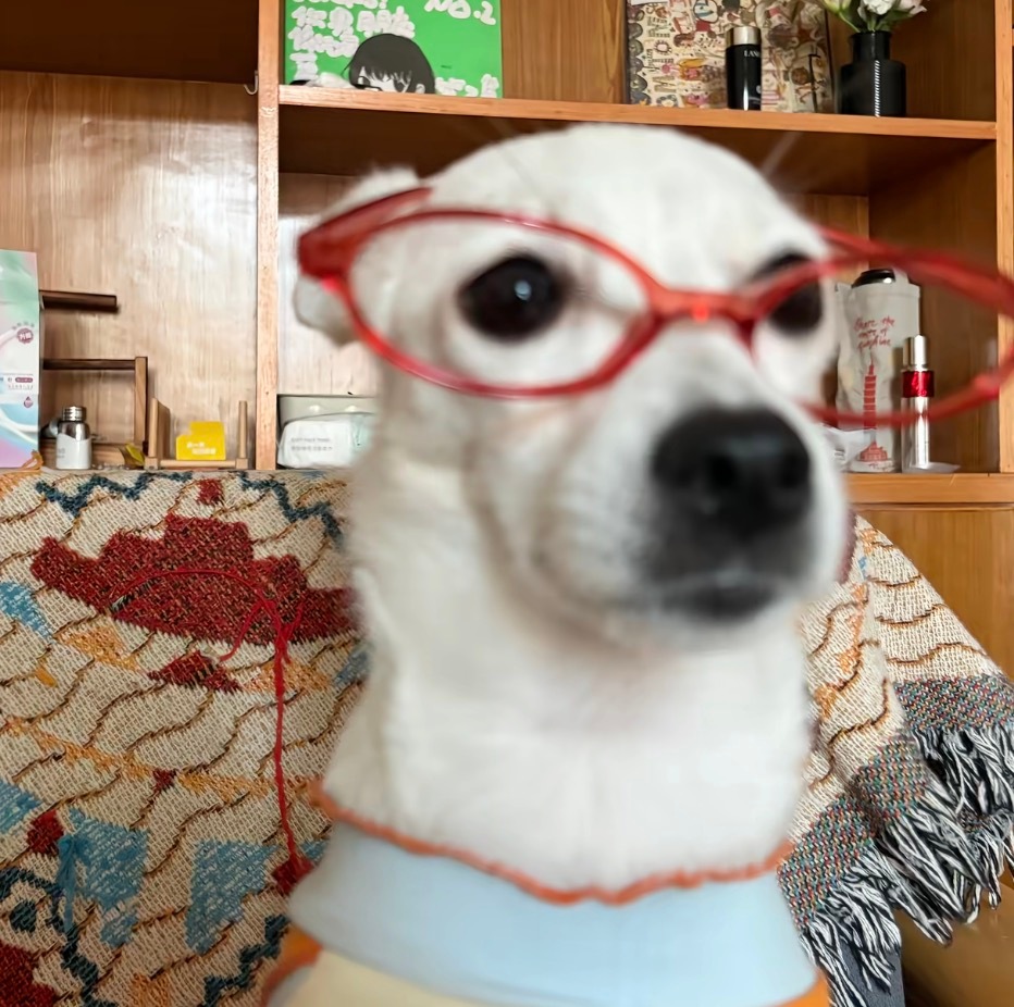 昨晚通宵看小说总共就睡了两个小时不到就过来上三个小时大课还要做Pre，幸好读的是
