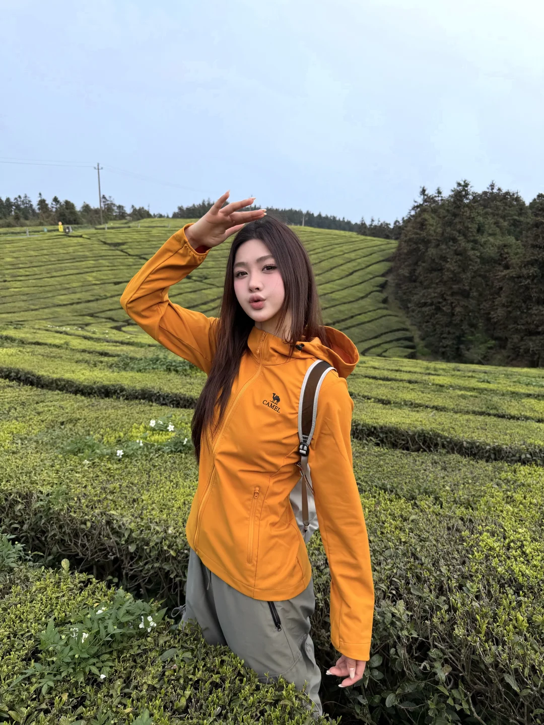 东钱湖福泉山茶山徒步真的直接封神✨