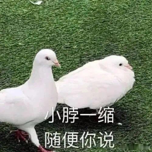 我妈有次做的炒饭不好吃，我就拿纸包着扔进了垃圾桶，我妈大发雷霆，问是谁干的，结果
