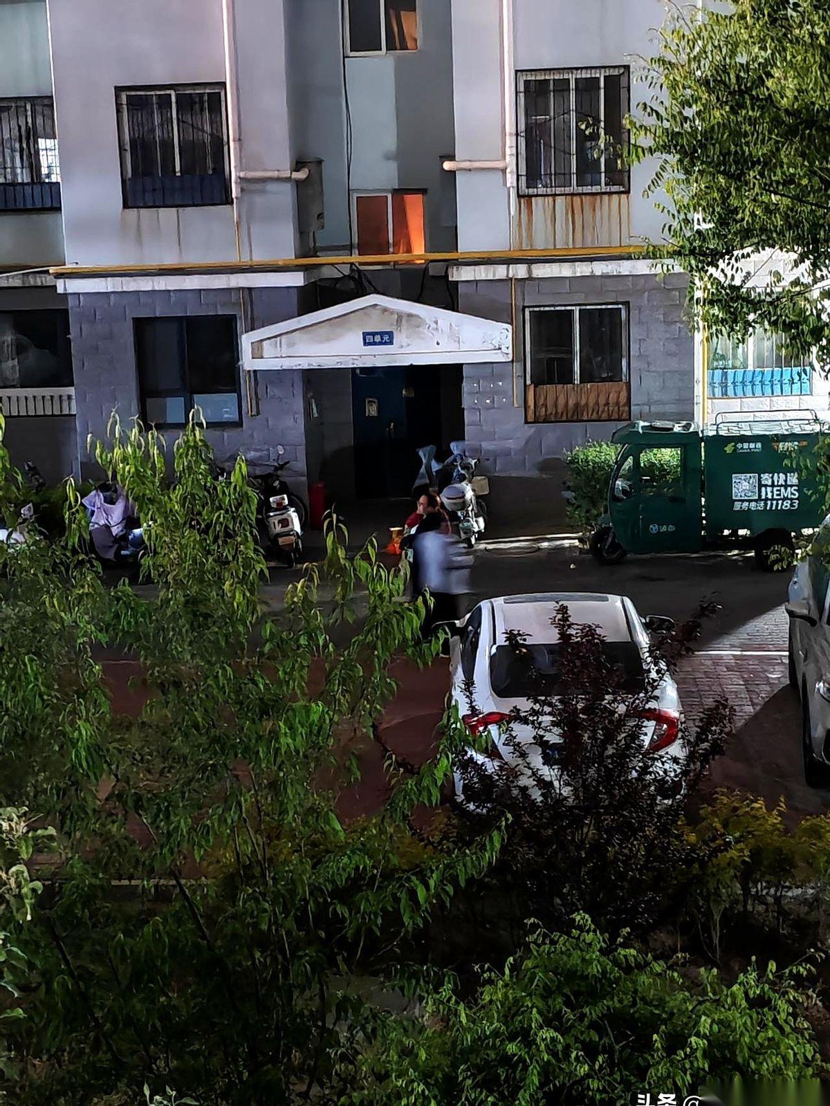 午夜，一声尖叫撕开了整栋楼的寂静。
紧接着，是对骂。一个老太太的声音，像一口烧开