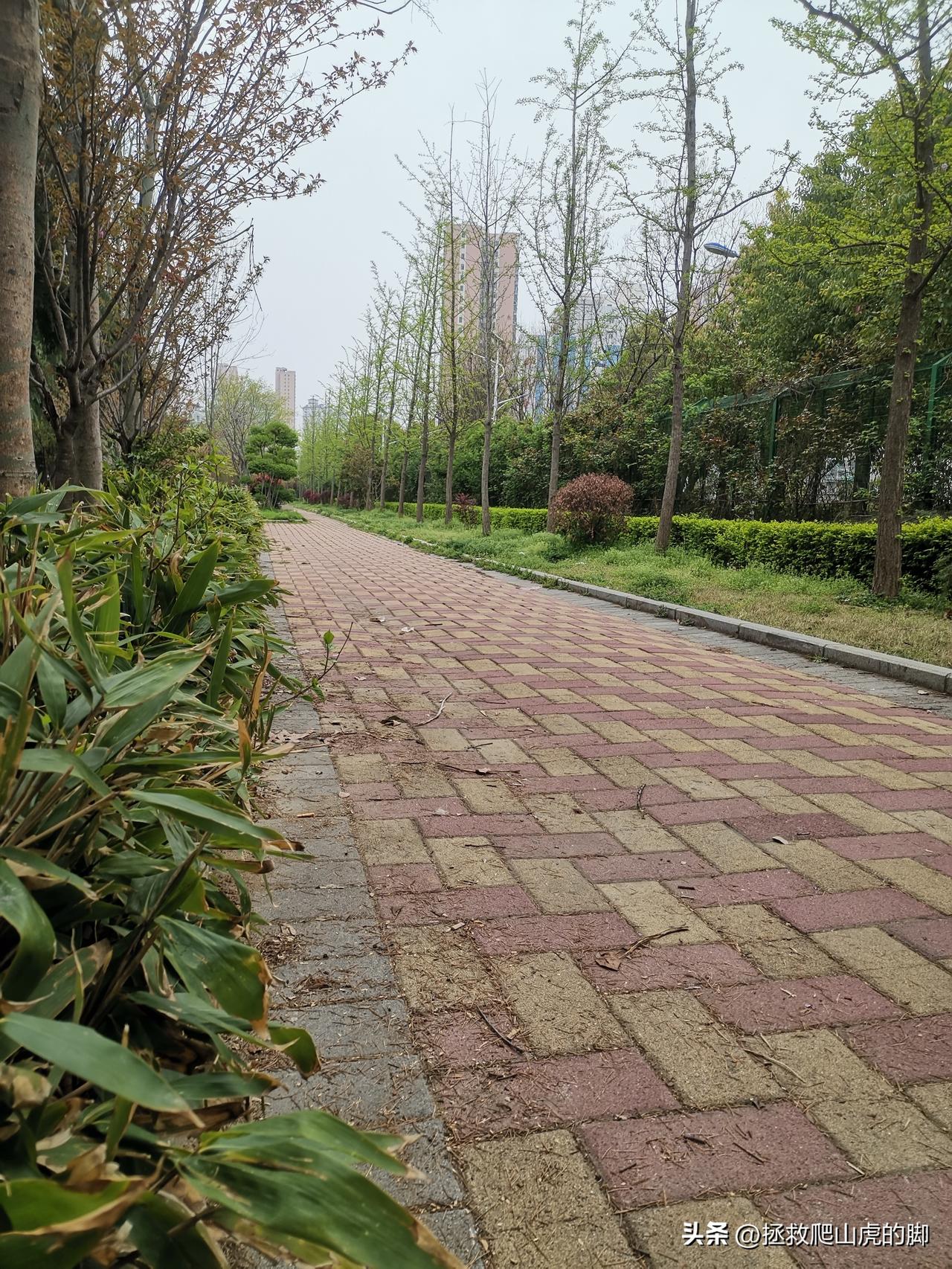 有人说“全国几十万农村不靠物业管理，仅靠村委会来管理，环境卫生不也挺好的嘛？”