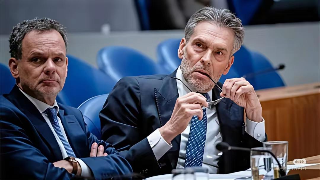 荷兰被骂惨了
主要是因为其政府强行接管中资企业安世半导体[__LINK_ICON