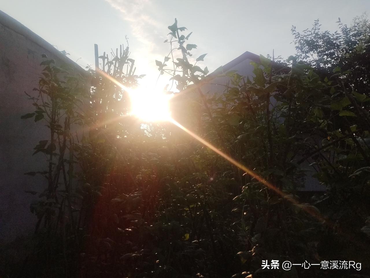 众友友早上好！
今天是7月7月星期二，日出时间4.53分，日落时间7.36分，白