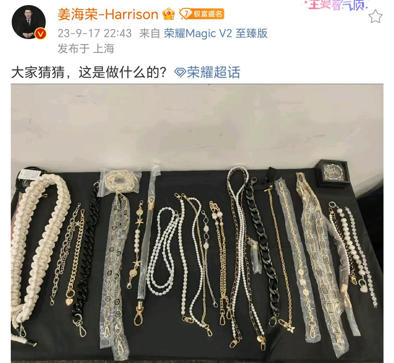 荣耀CMO姜海荣晒了一张挂链图，还问是用来干嘛的。
这不就跟荣耀V Purse那