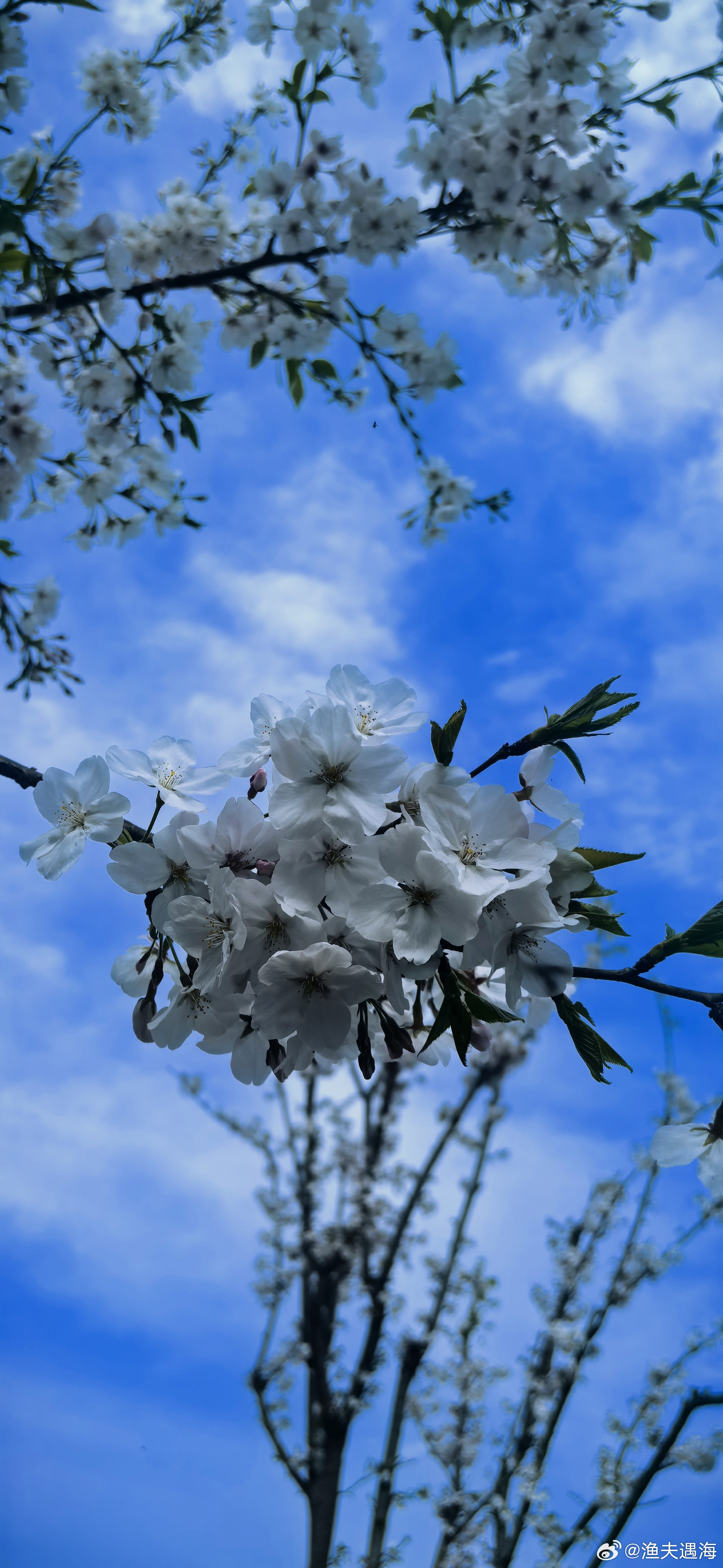 新壁纸  早安！ 