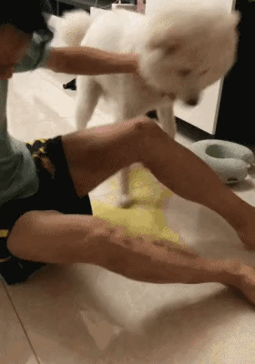 看来它应该是吓尿了。