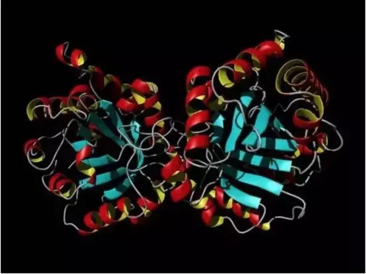 不同人群的“朊病毒抗体”（PRNP 129M/V）携带比例：

· 巴布亚新几内