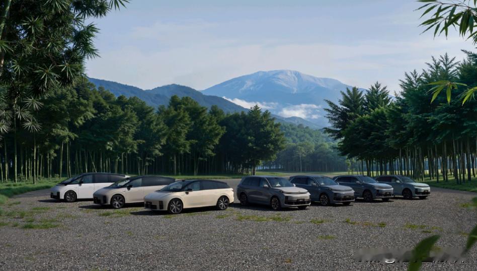 销量腰斩、排名暴跌，理想汽车还能挺得过2026吗？
背景：2024年理想卖了50