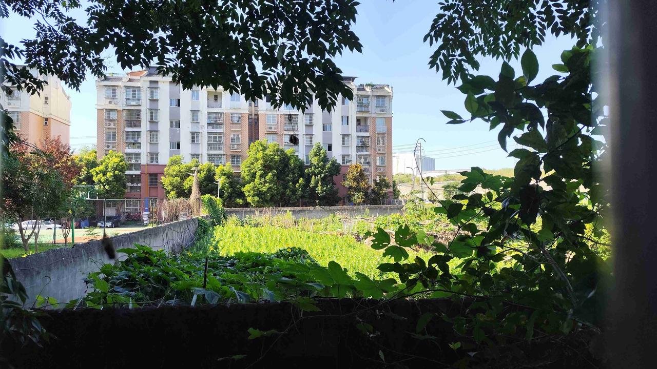 我的今日状态：😁轻松愉快
我这里的天气：☀️晴天