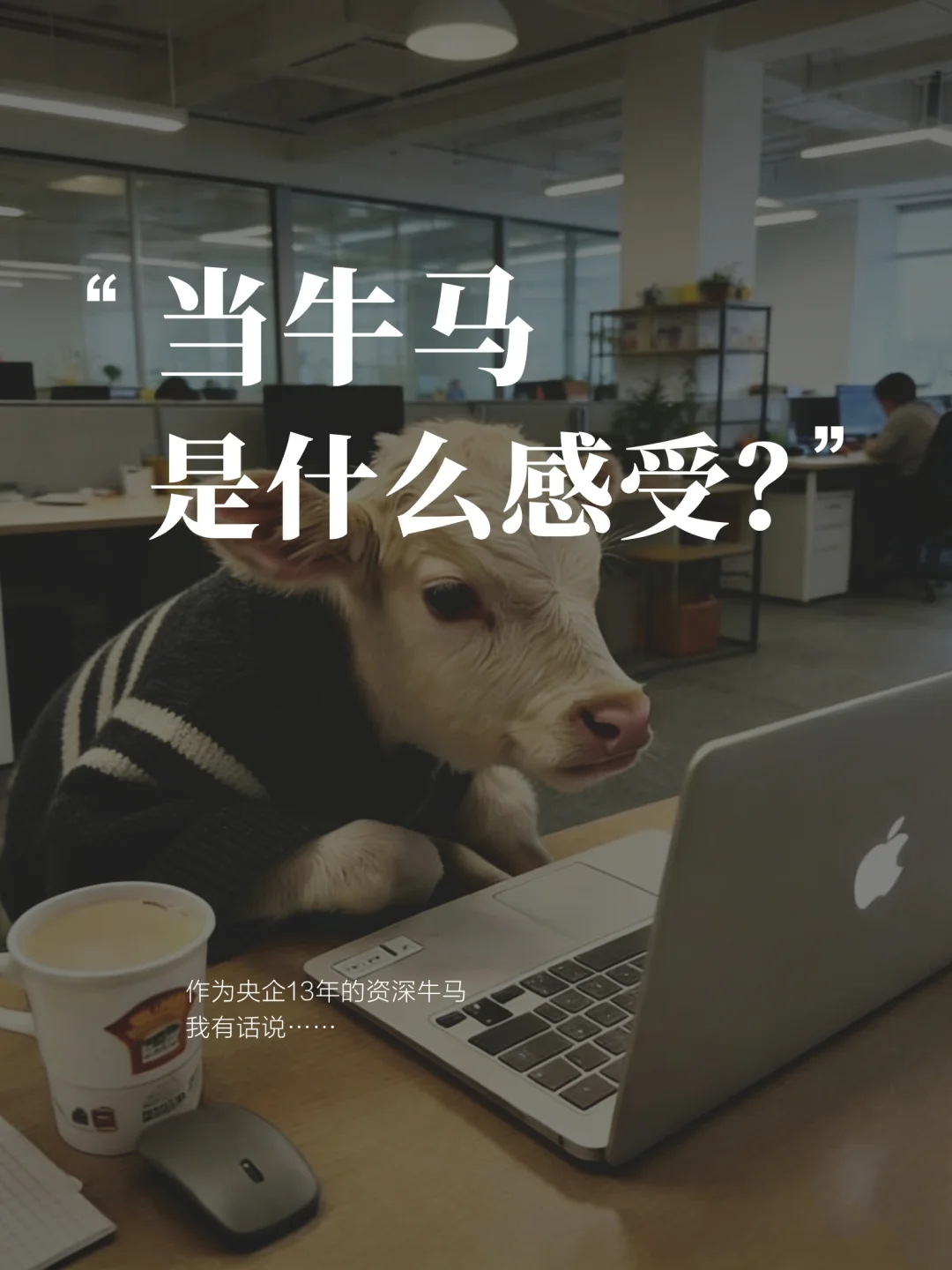 围观央企13年资深牛马的破局之路