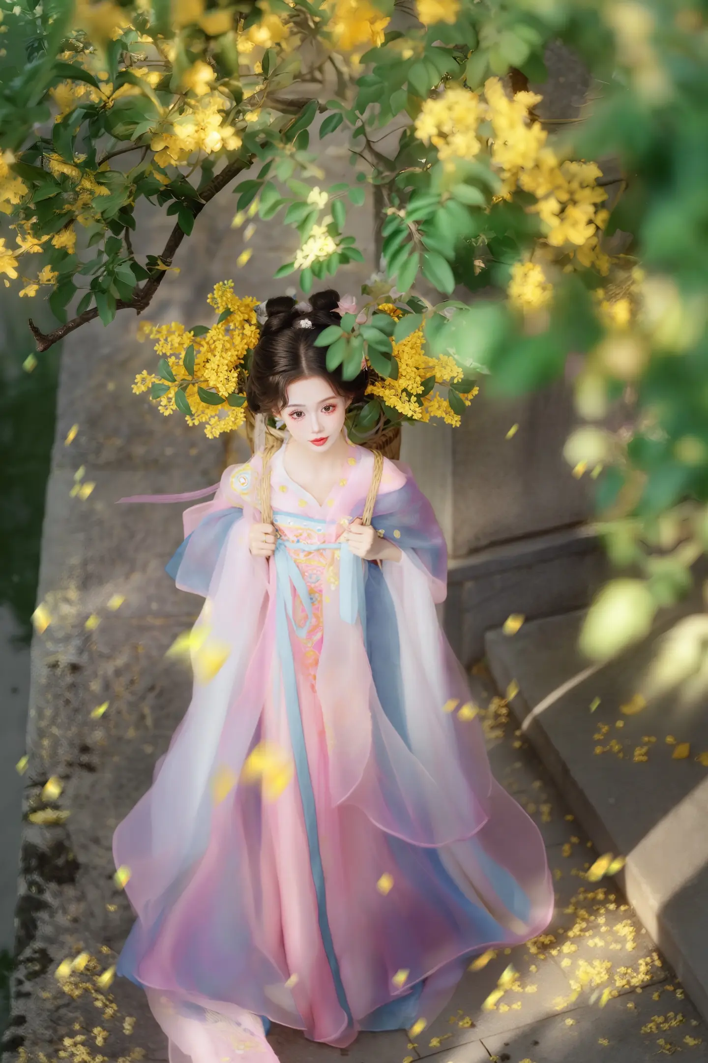 又采桂花去酿酒喽~