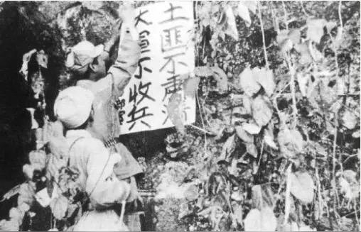 1950年剿匪，一个战士盯着一个尼姑的胸脯，排长见状：“敢违反纪律，看我不关你禁