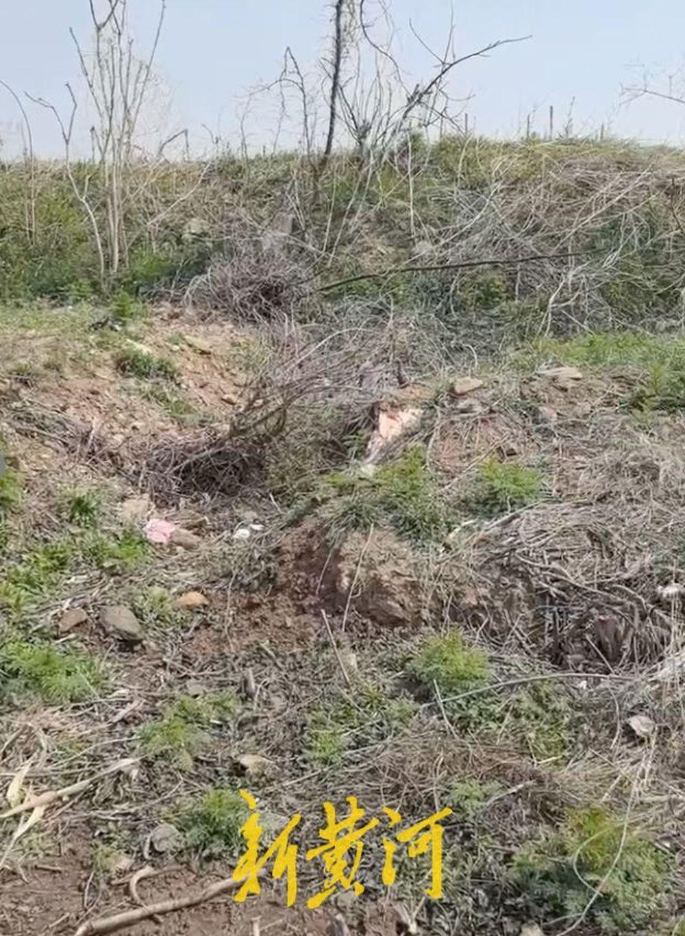 2025年9月19日，河北石家庄的田先生母亲、时年52岁的高某兰在嫌疑人赵某车上