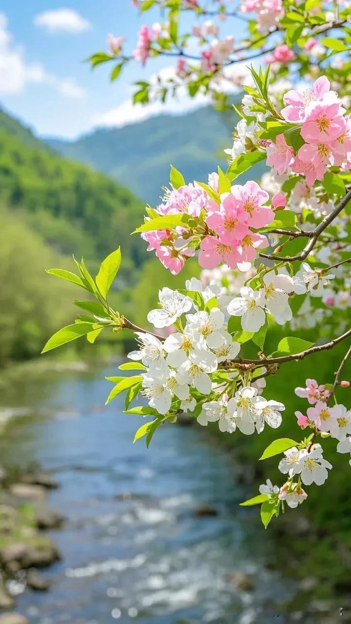 春日绮卷
 
柔风抚柳绽新条，暖日烘云幻彩绡。
翠岭含烟添秀色，青山蘸绿映春韶。