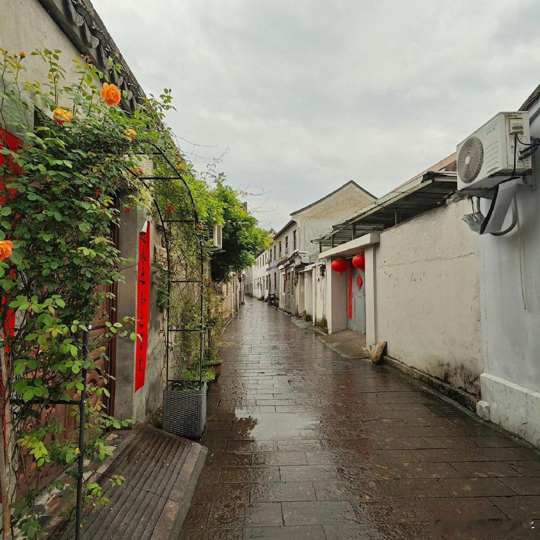 雨丝刚歇的千年小道好美的地方，下雨天去更好 