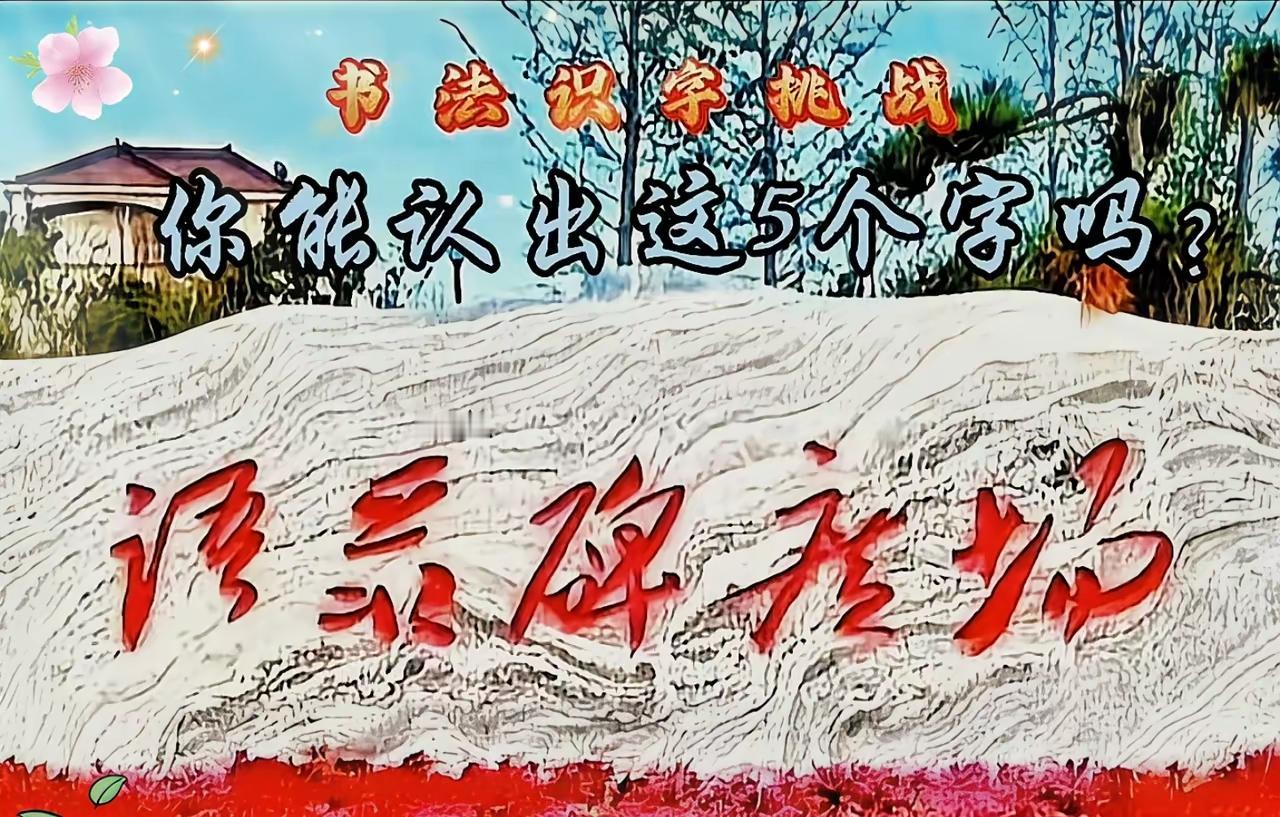 来个语文课代表，这五个字写得是啥？