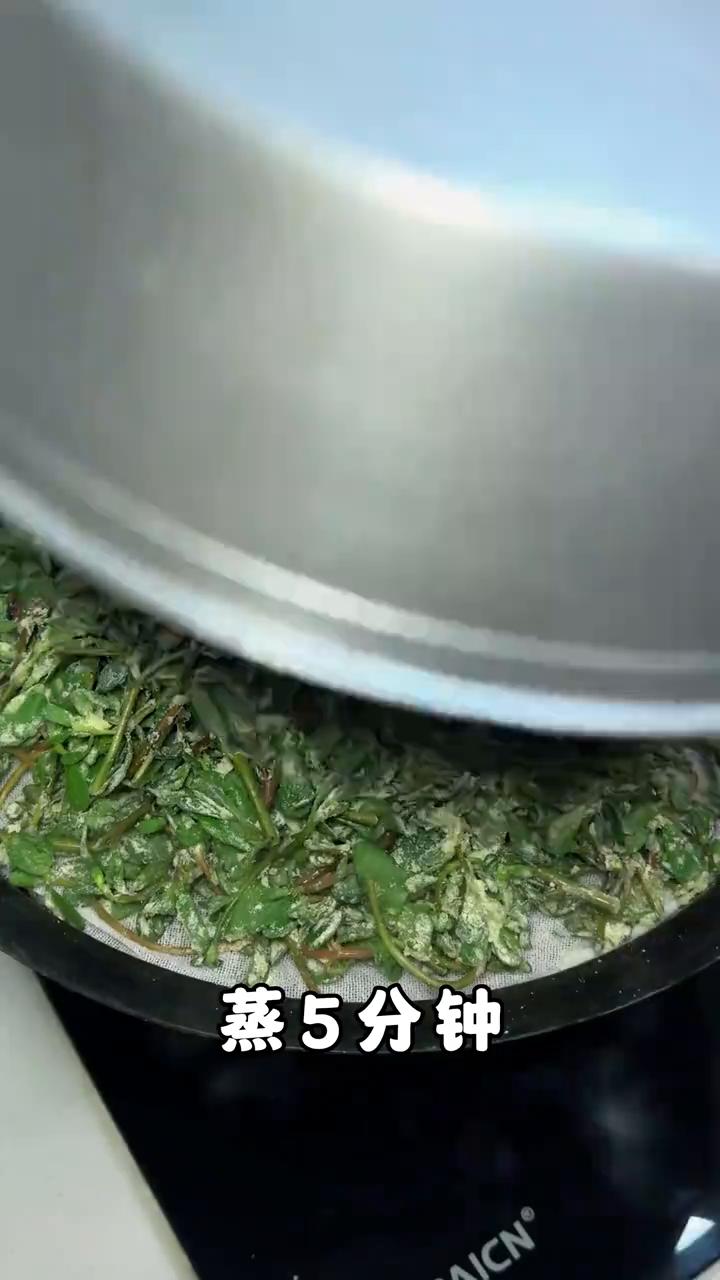马齿苋两吃。
山西孩子记忆中的味道：马齿苋。
·马齿苋洗净控水，倒油抓拌，加面粉
