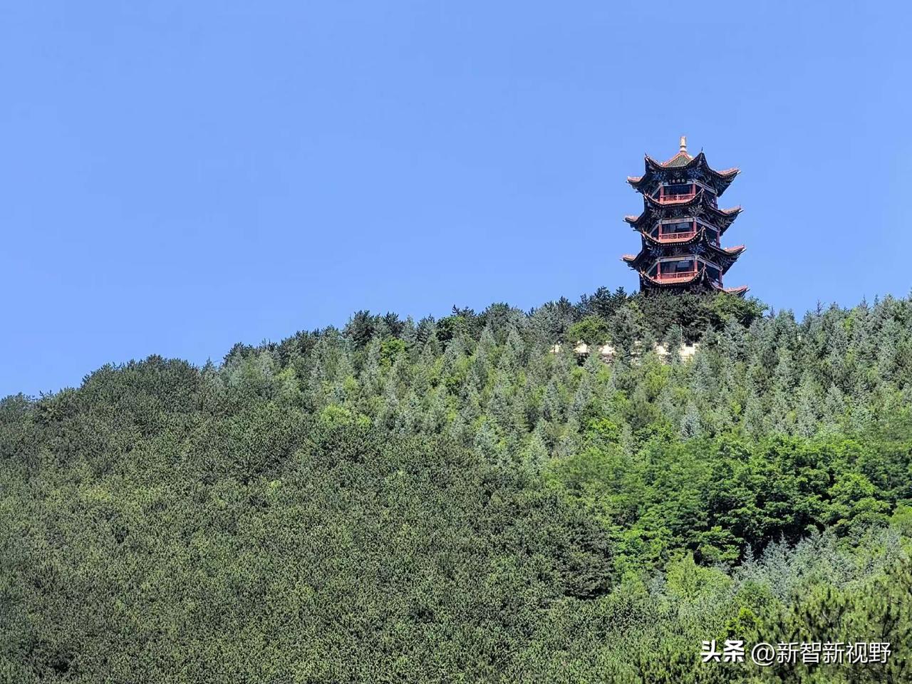 “千年古塔耸翠林，云海之上见仙踪”🌳🏯