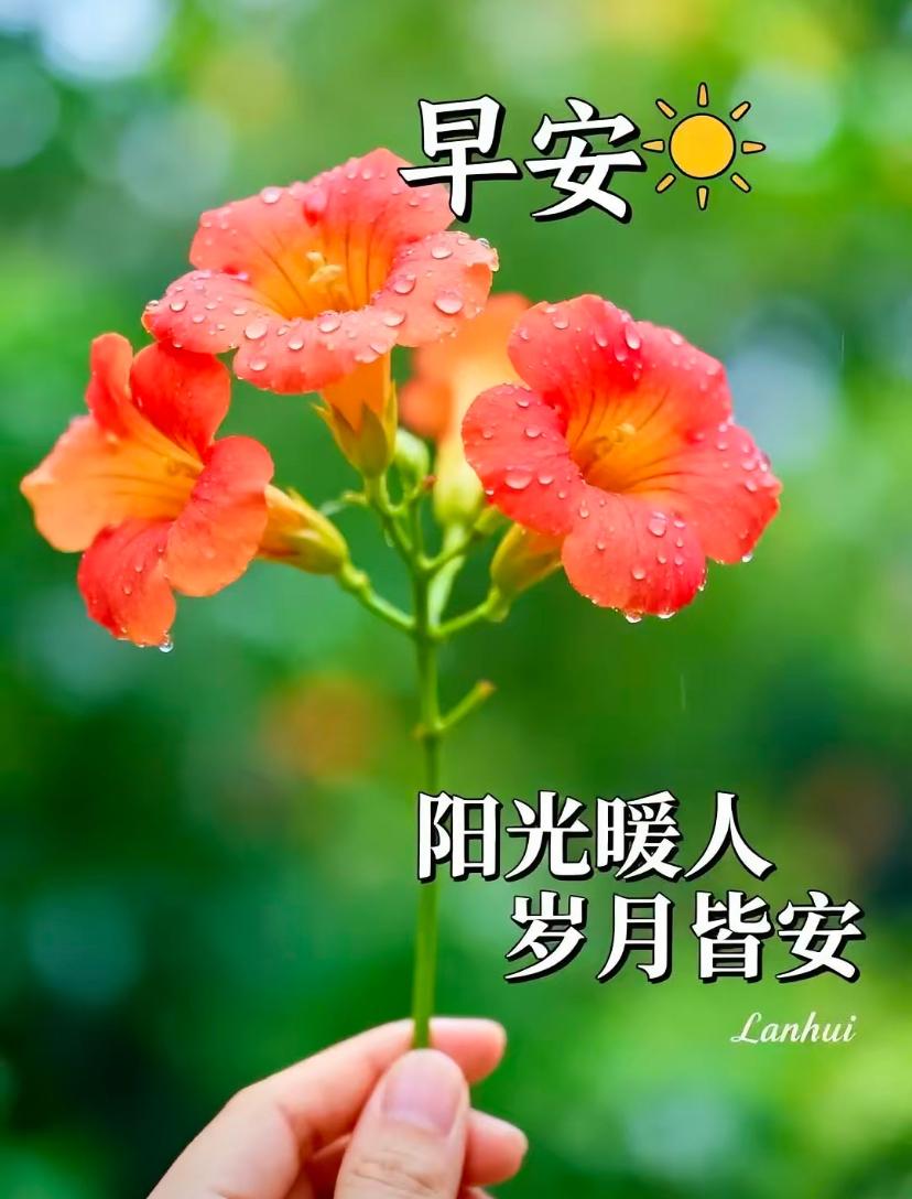 🌺☘️6./4.盛夏渐盛.万物繁茂☘️🌺

🌿🌾清晨安好，芒种携盛夏而来