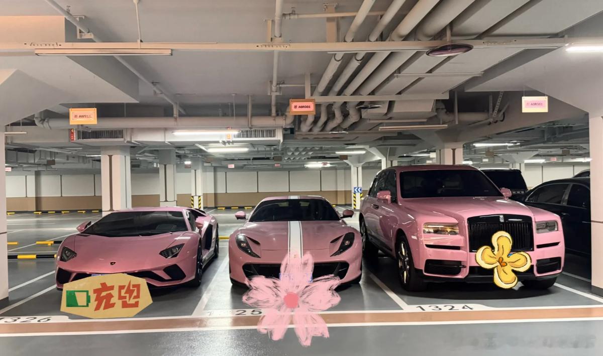 人生各有不同，有人只爱一个颜色[嘻嘻] ​​​