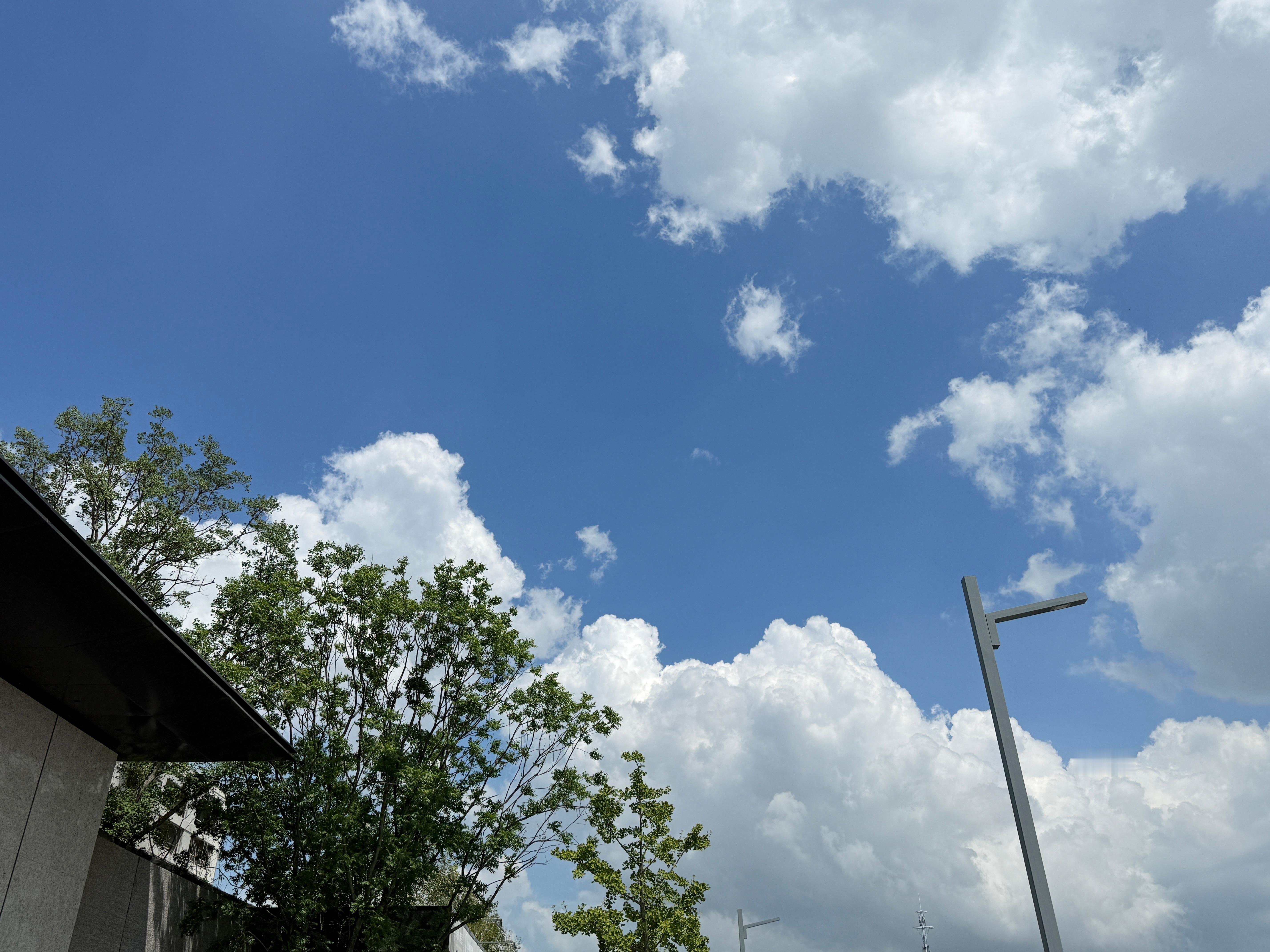 这两天的天气真的好美每一朵云都像棉花糖哈哈哈哈我的日常plog ​​​