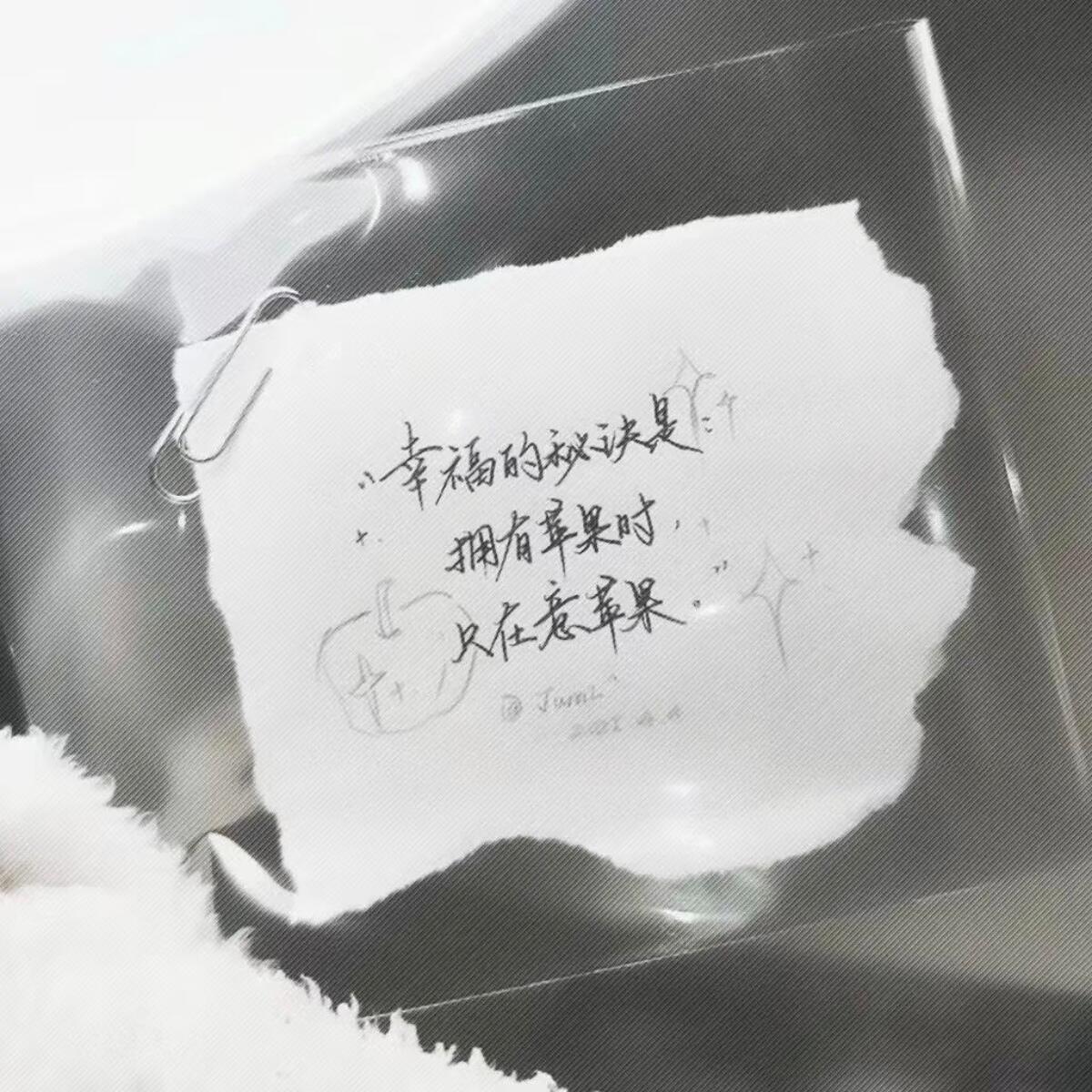 愛の世紀 