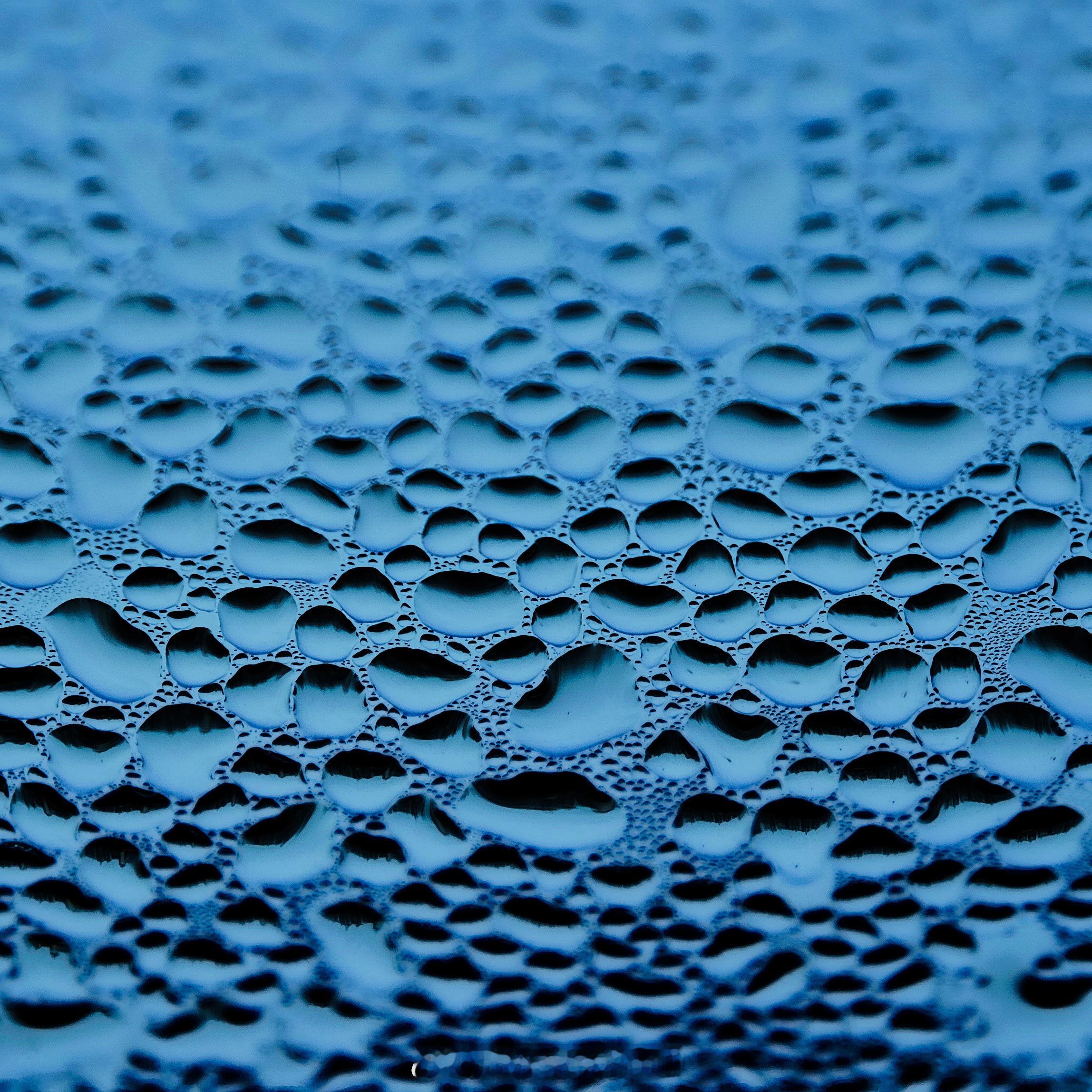 本周摄影投稿 🖼 作者指路👇