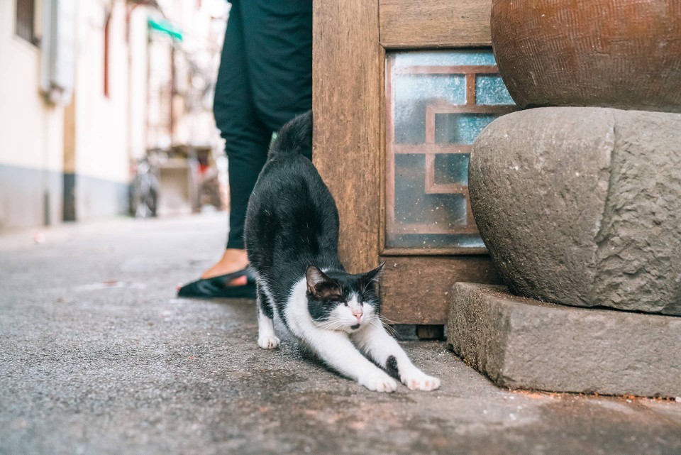 今日运动已结束打了一套时间比较长的八段锦，怎么硕呢抖抖抖抖抖抖，腿有点哆嗦但给我