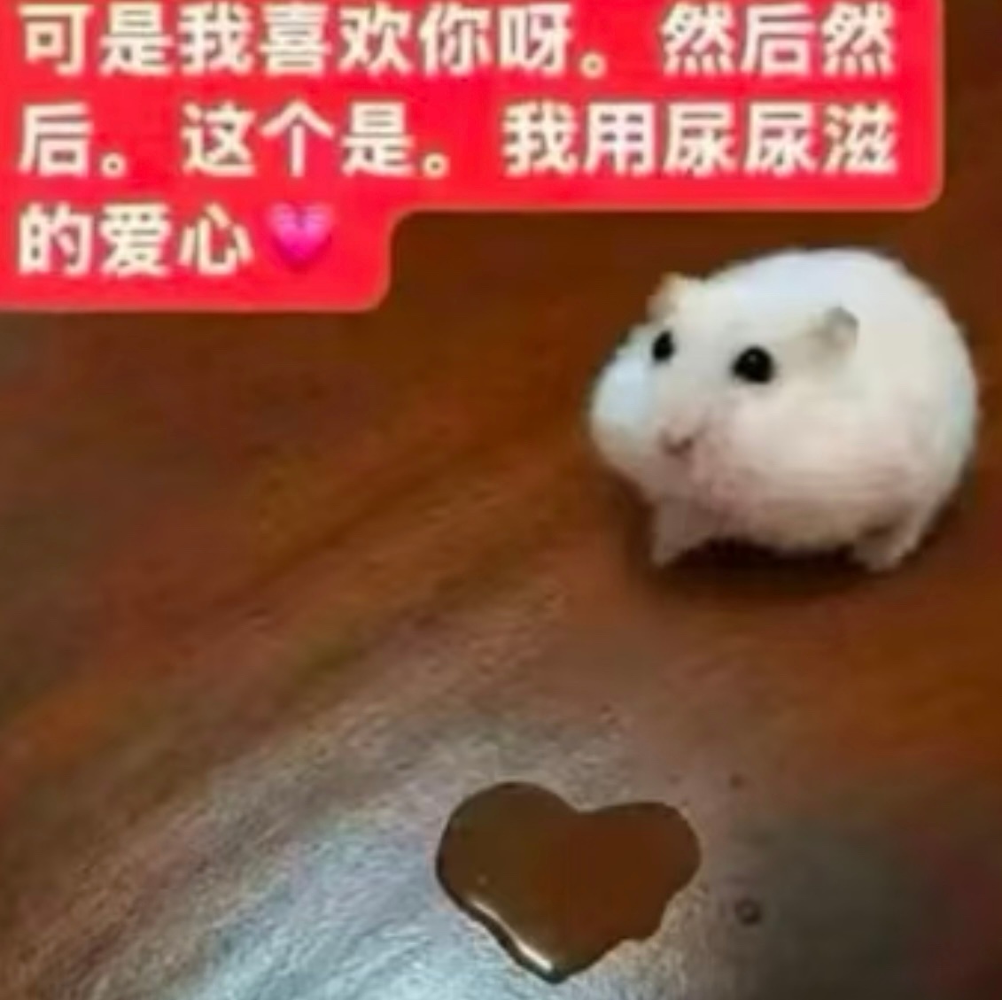 分享图片 