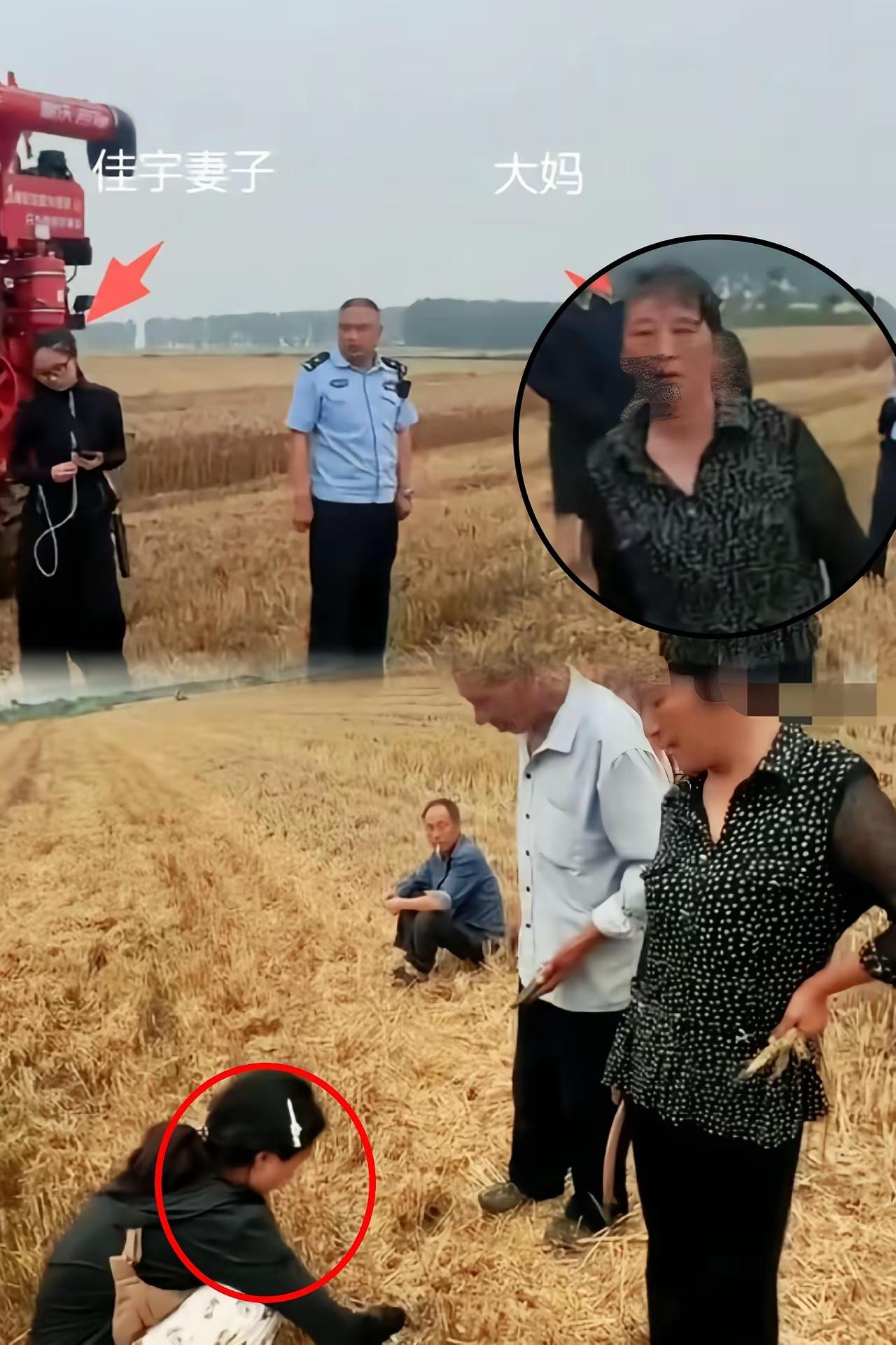 咱们湖北农村这回出了档子闹心事，农机师傅好心先帮大娘收麦子，结果却被反咬一口。