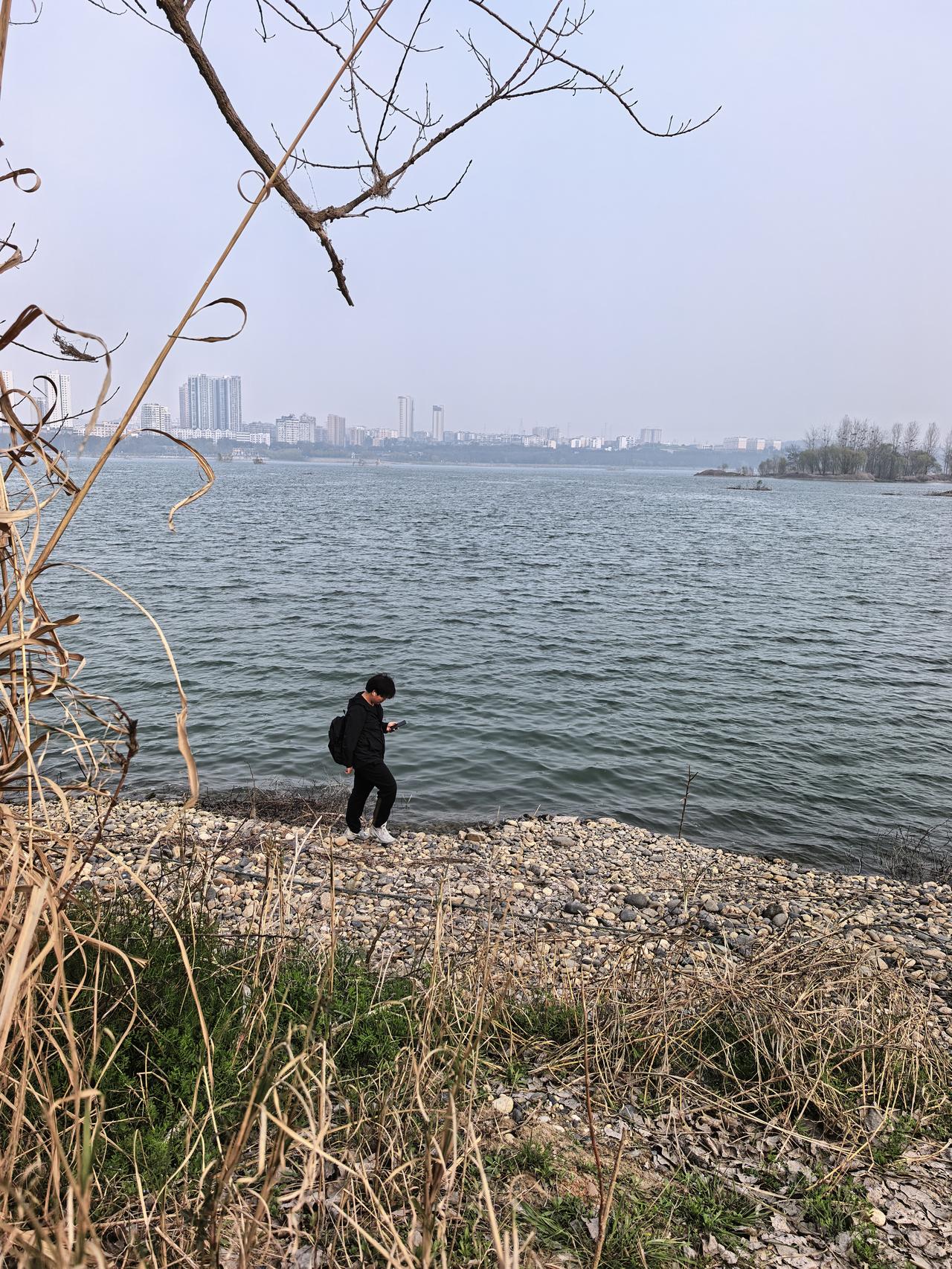 最近，关于海岛回归的事情引发了网友的热议。海岛上的一些重要人物也对陆地进行了访问