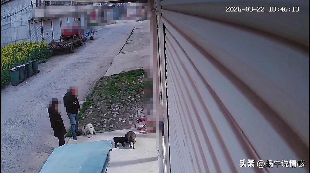 老爸又招了一条狗回来！

事情是这样的，前天老爸去县城办事，回来的时候骑电瓶车走