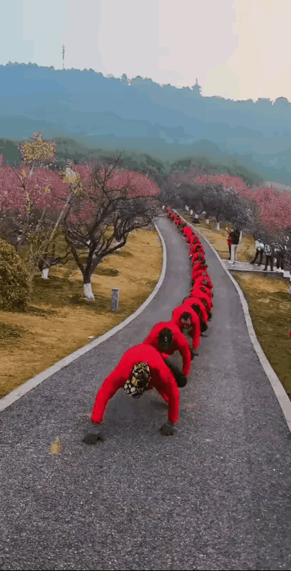 这个演绎的真好，每一句话都是经典，虽然说话不利索，但是每一句都有它深刻的内涵