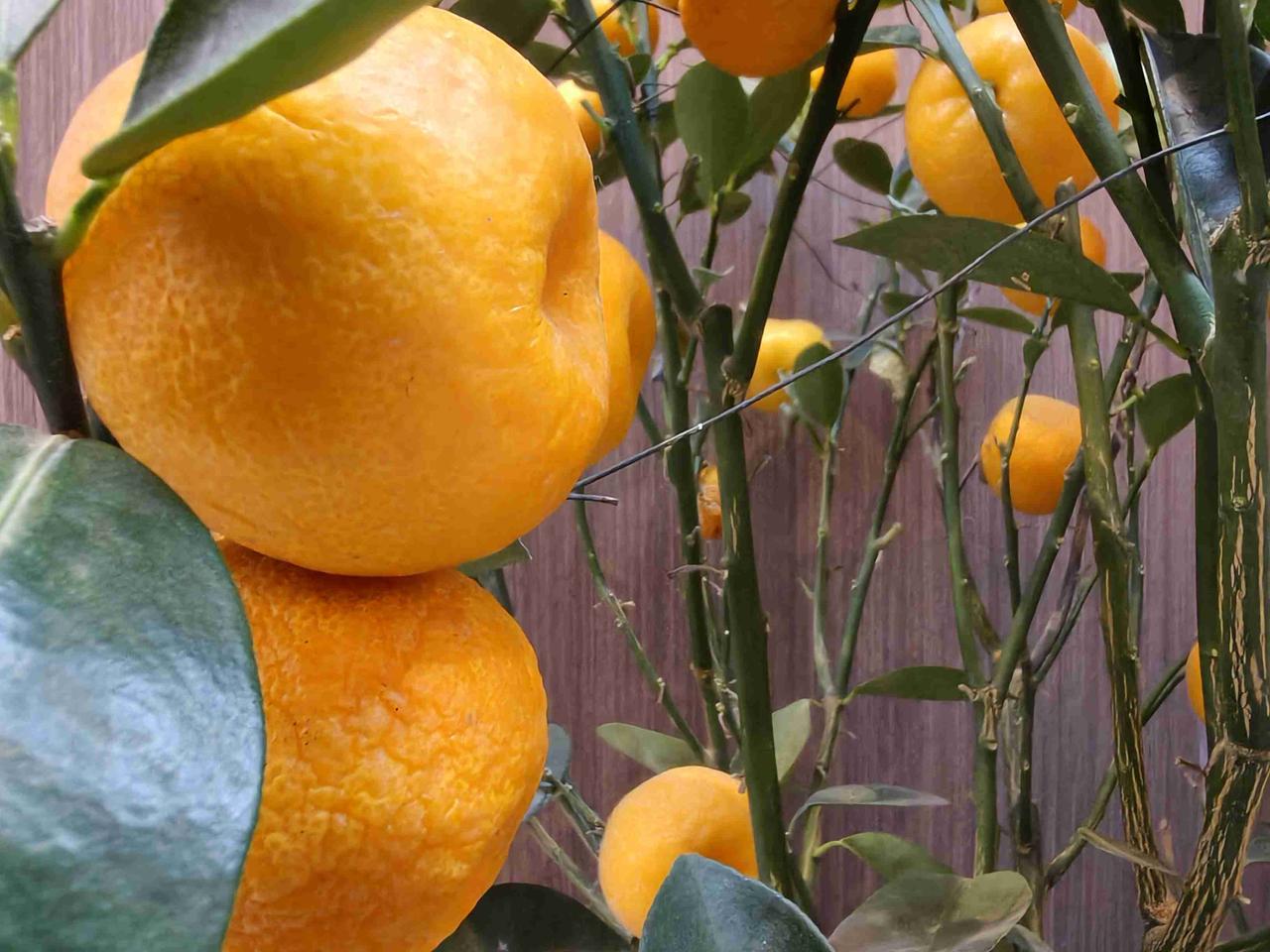 晚上，帮前台的小伙搬餐具，搬最后一摞的时候，在案上掉下了几个小碗，顿时清脆的想声