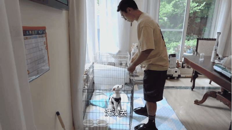 刘涛郑恺带狗参加综艺路透刘涛录综艺被狗狗迷的走不动路加油汪汪小狗真的治愈一切！路