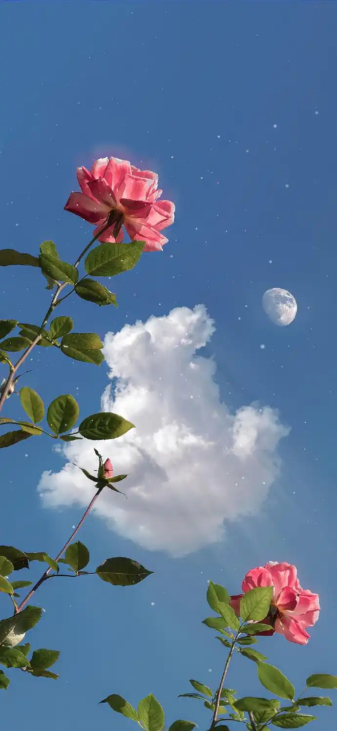 早安你的人生不会辜负你的。那些转错的弯，那些流下的泪水，那些滴下的汗水，全都让你