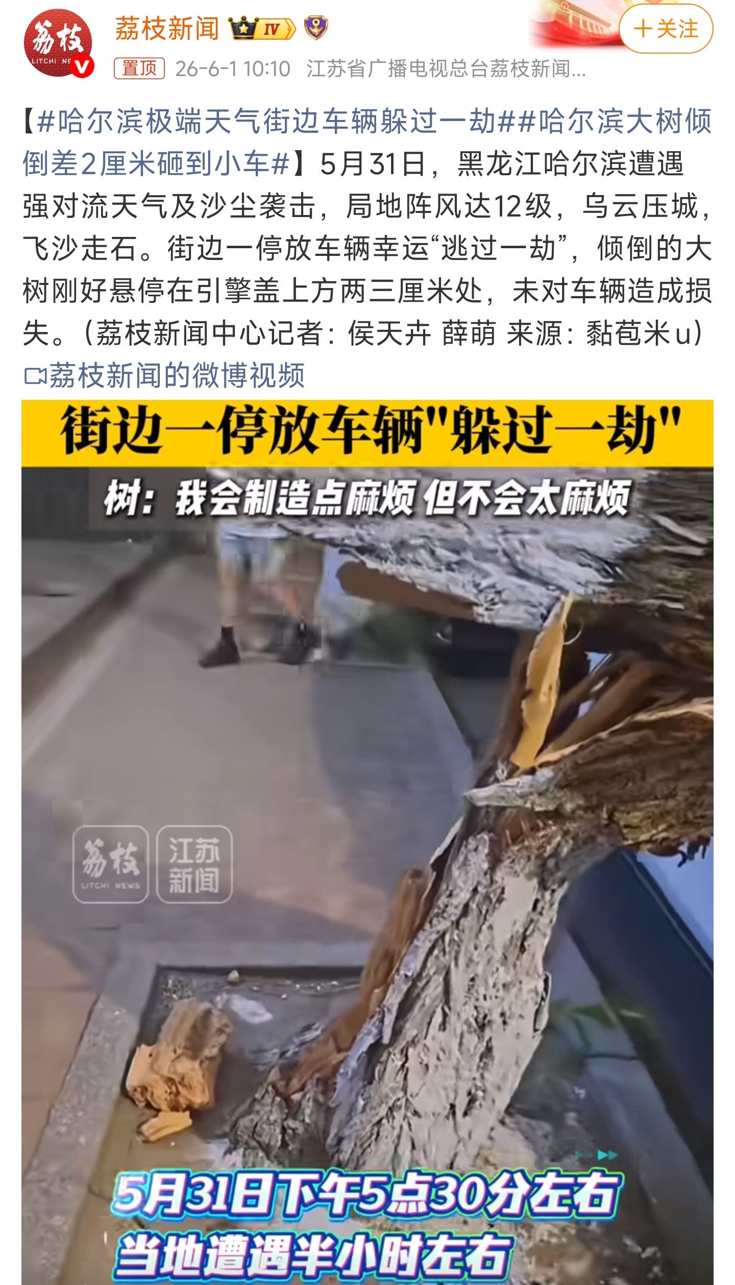 哈尔滨大树倾倒差2厘米砸到小车看来还是要定期检查这些树才行 