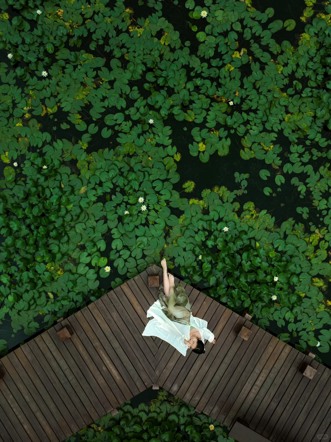 美炸💥杭州6月旅行赏花日历，你绝不能错过‼️