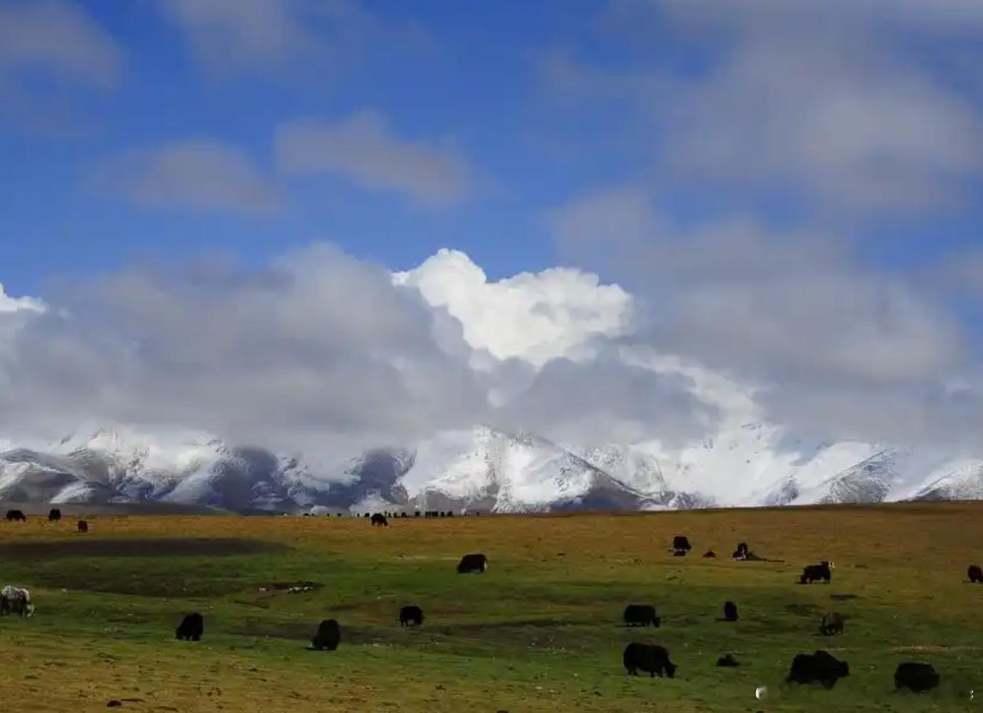青藏高原有多处远古人类痕迹青藏高原远古时代就有人了 一层层地质地层沉淀千年📖封