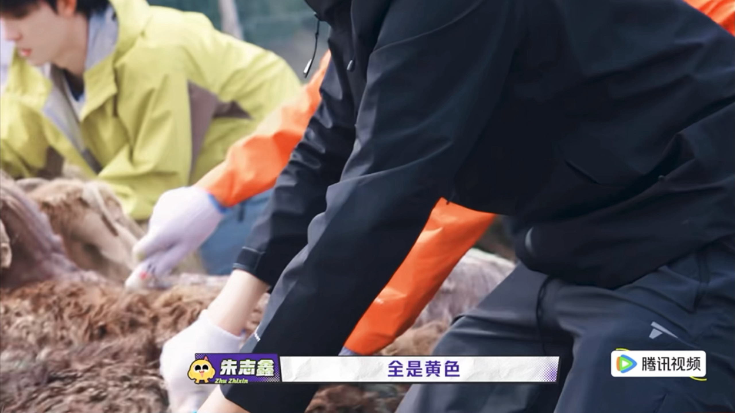 全～是～黄～色 得意的妞妞🥺 ​​​