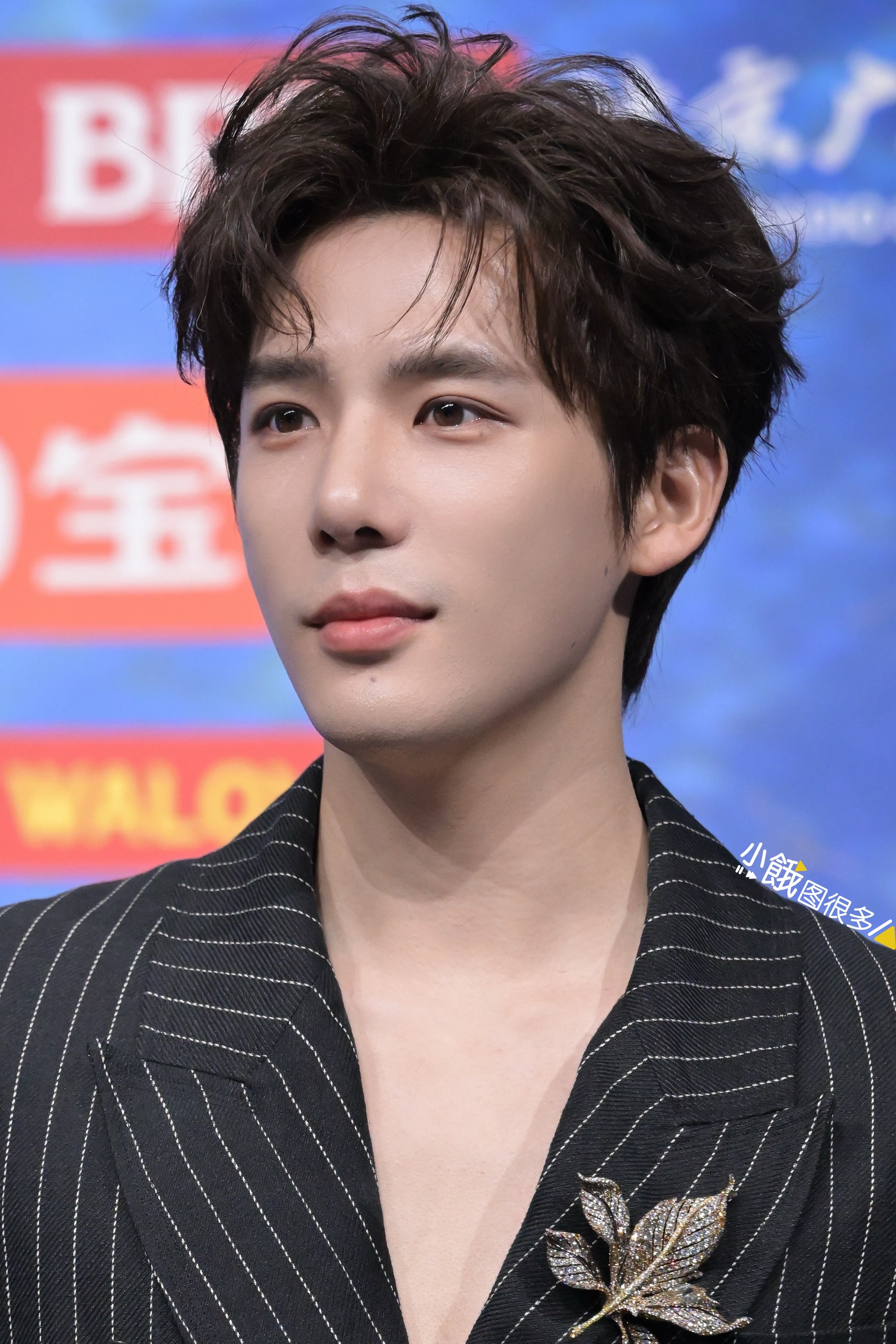 章若楠裙子好大 王安宇想扶扶不到 20260205 王安宇一身条纹西装出席今天微