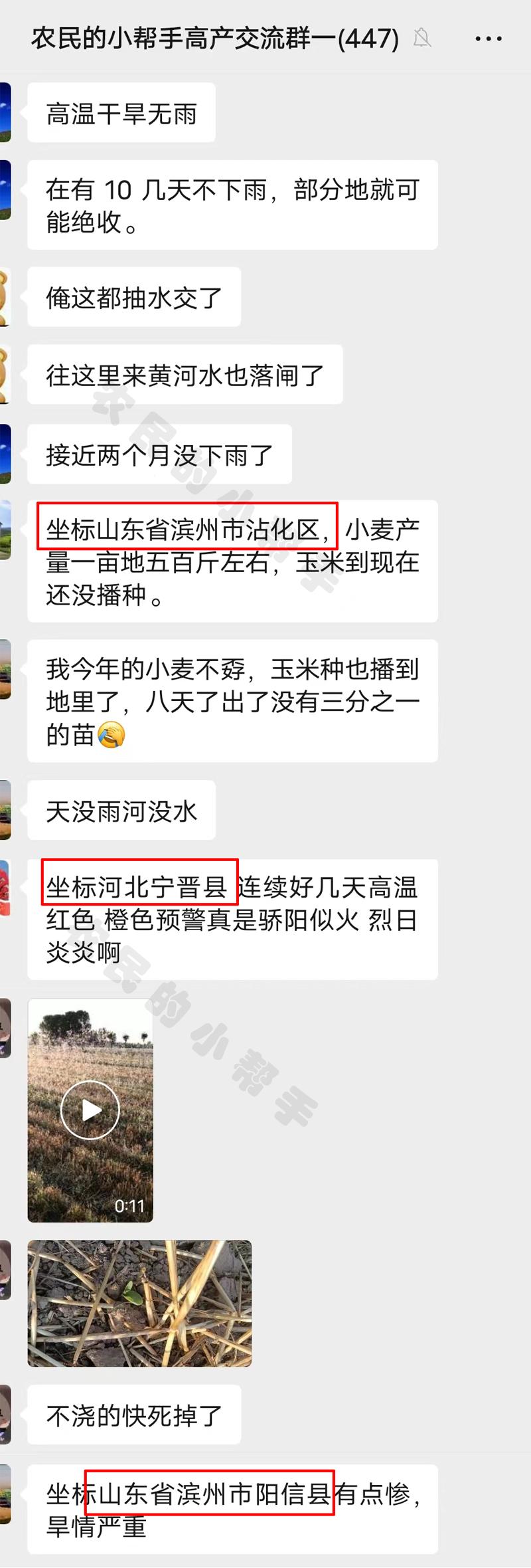 山东、河北的朋友，当地干旱程度如何？玉米现在咋样了？
听说浇水都需要排队了？还有