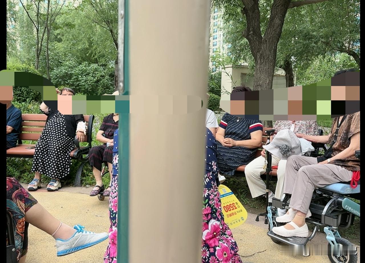 每天下午都出来跟这些老年人坐一会儿，一共四个坐轮椅的，还有几个是轮椅的陪护者，每