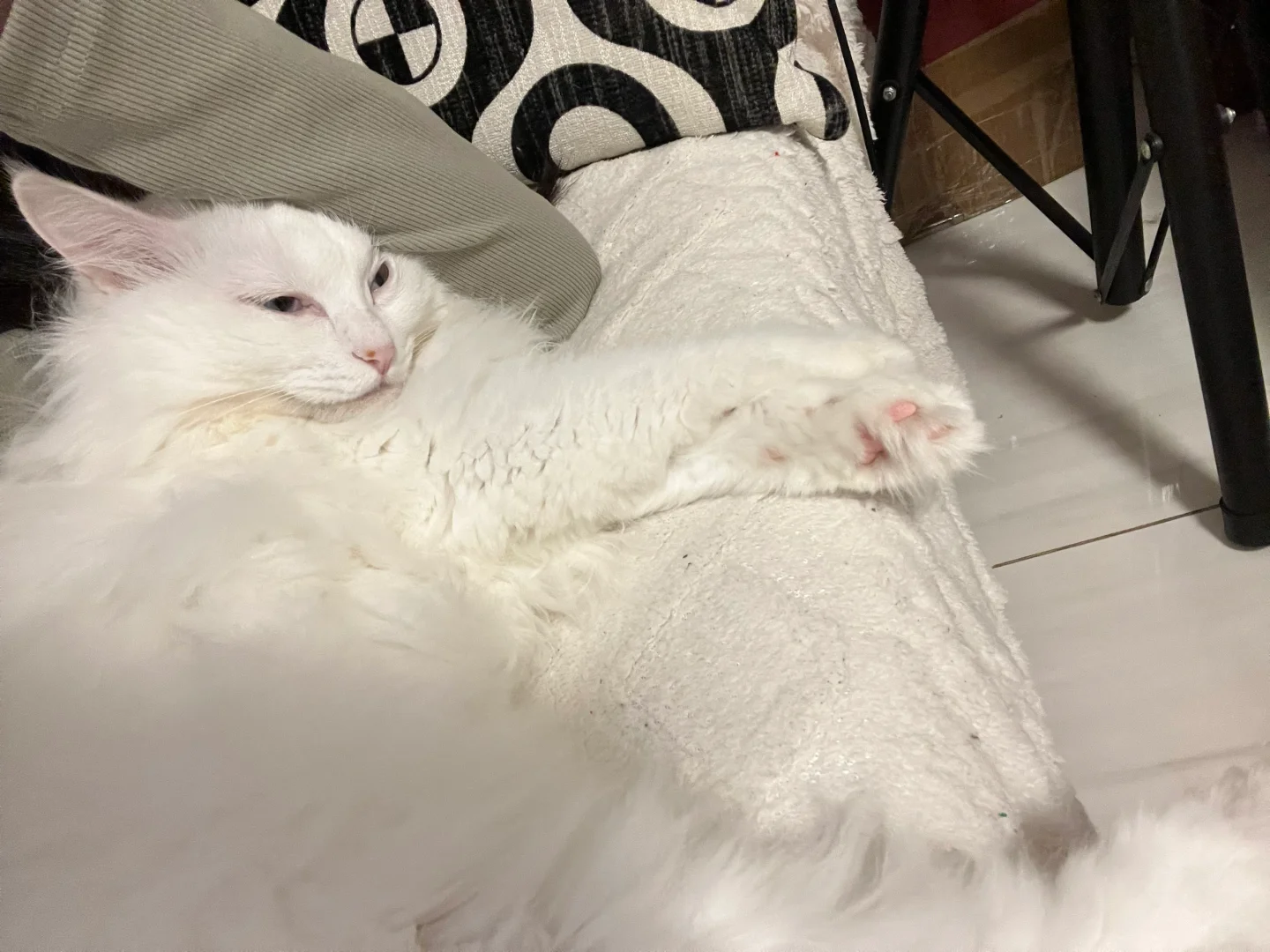 腻歪