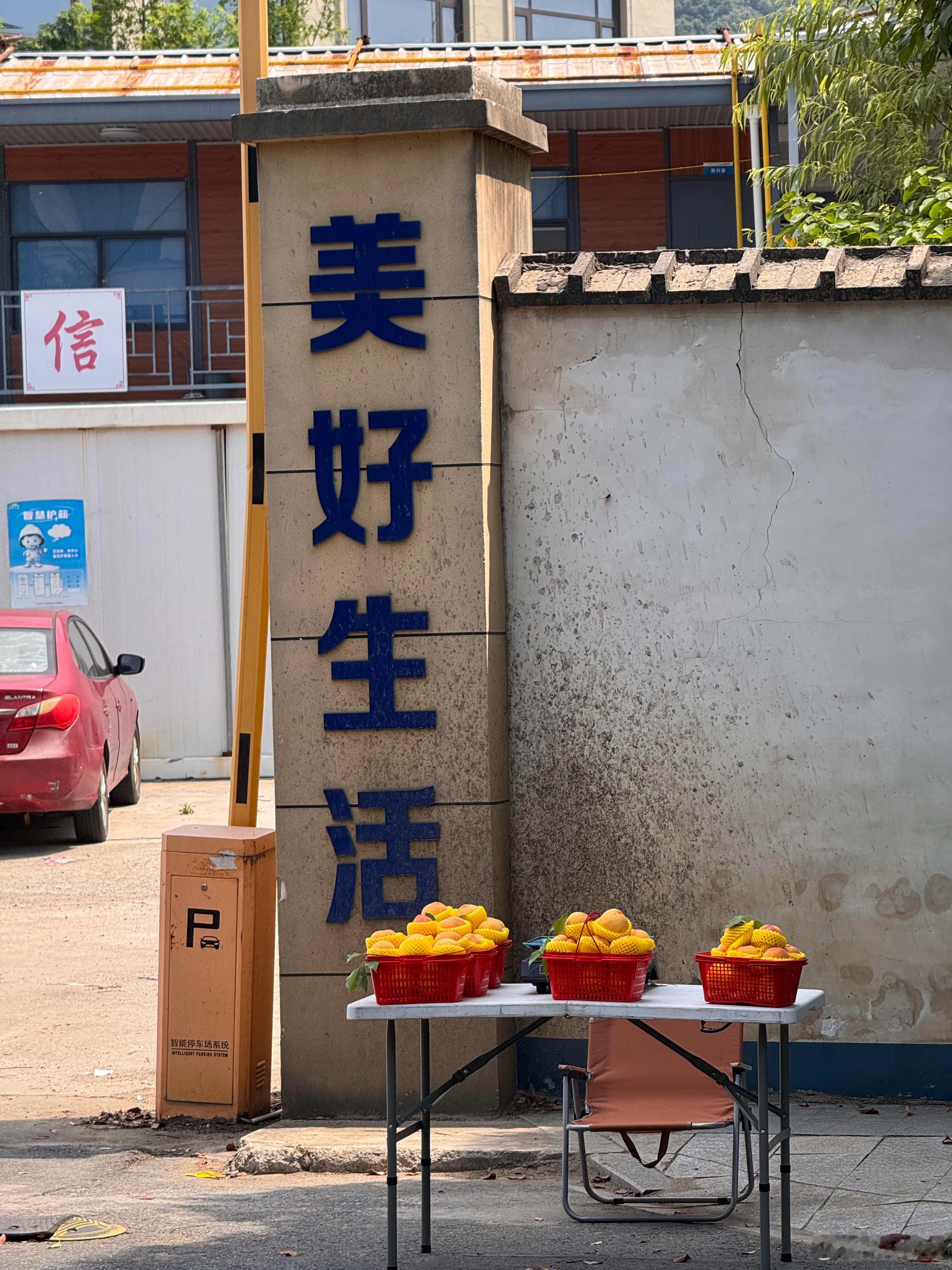 随手拍 