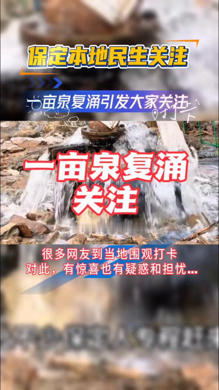 保定本地民生关注：一亩泉复涌引发大家关注。
一亩泉复涌让不少保定人专程赶来，很多