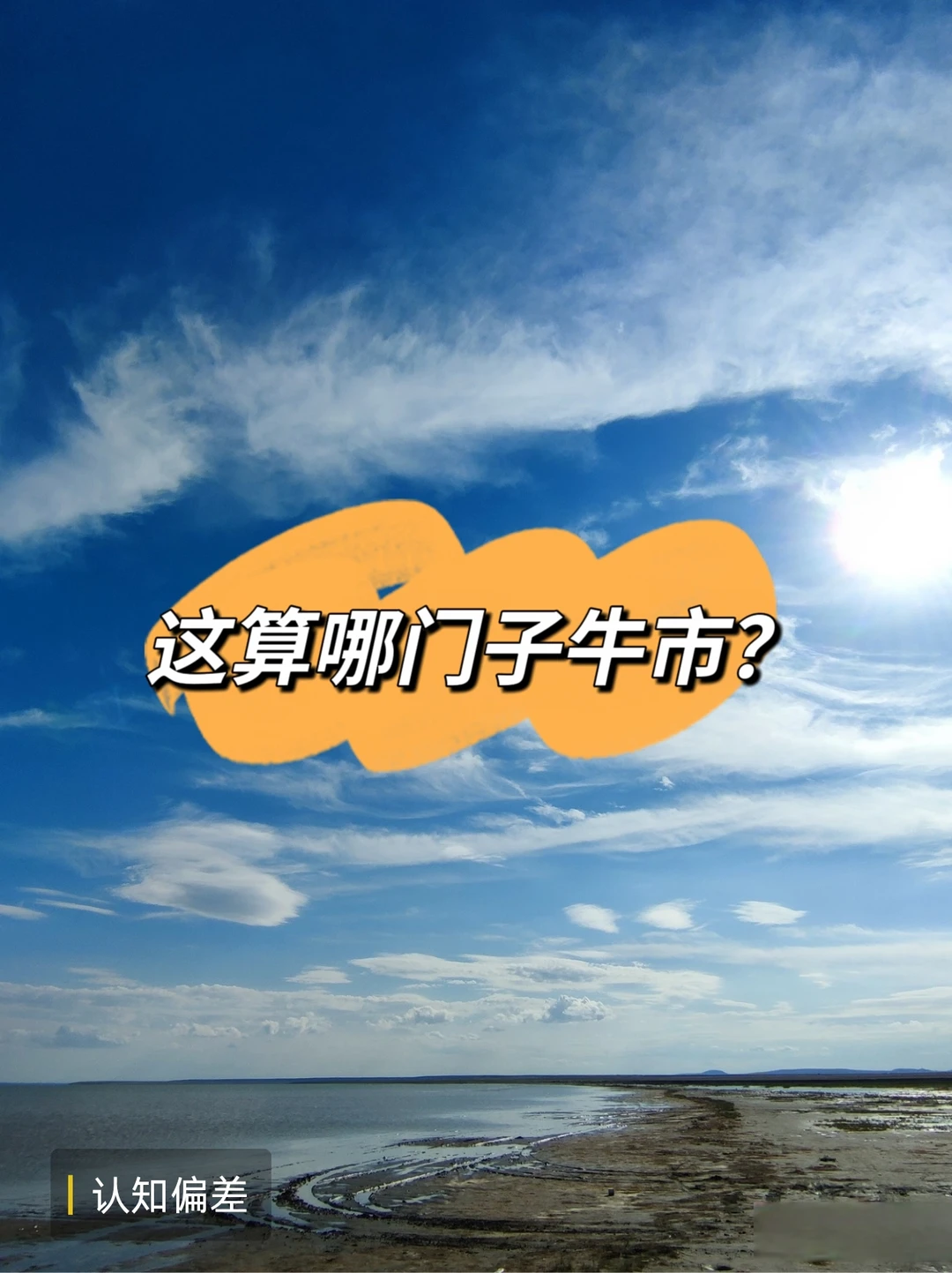 没买cpo，半导体，今年几乎没法玩